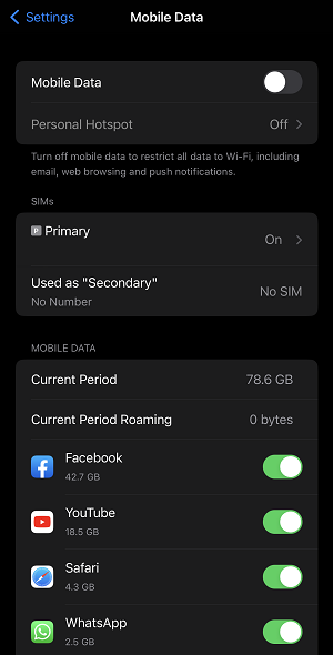 Why iPhone 13 Pro Max Internet Is So Slow? | iphonescape.com